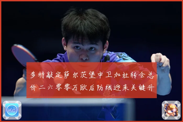 多特敲定萨尔茨堡中卫加杜转会总价二六零零万欧后防线迎来关键升战术观察-深度解析