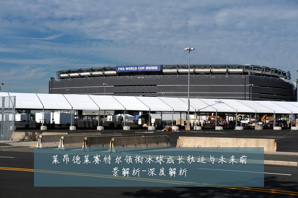 莱昂德莱赛特尔领衔冰球成长轨迹与未来前景解析-深度解析