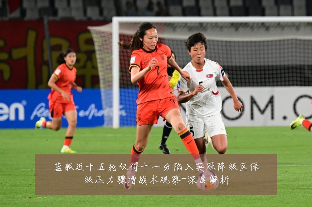蓝狐近十五轮仅得十一分陷入英冠降级区保级压力骤增战术观察-深度解析