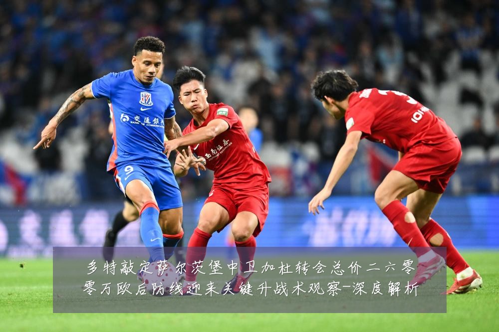 多特敲定萨尔茨堡中卫加杜转会总价二六零零万欧后防线迎来关键升战术观察-深度解析