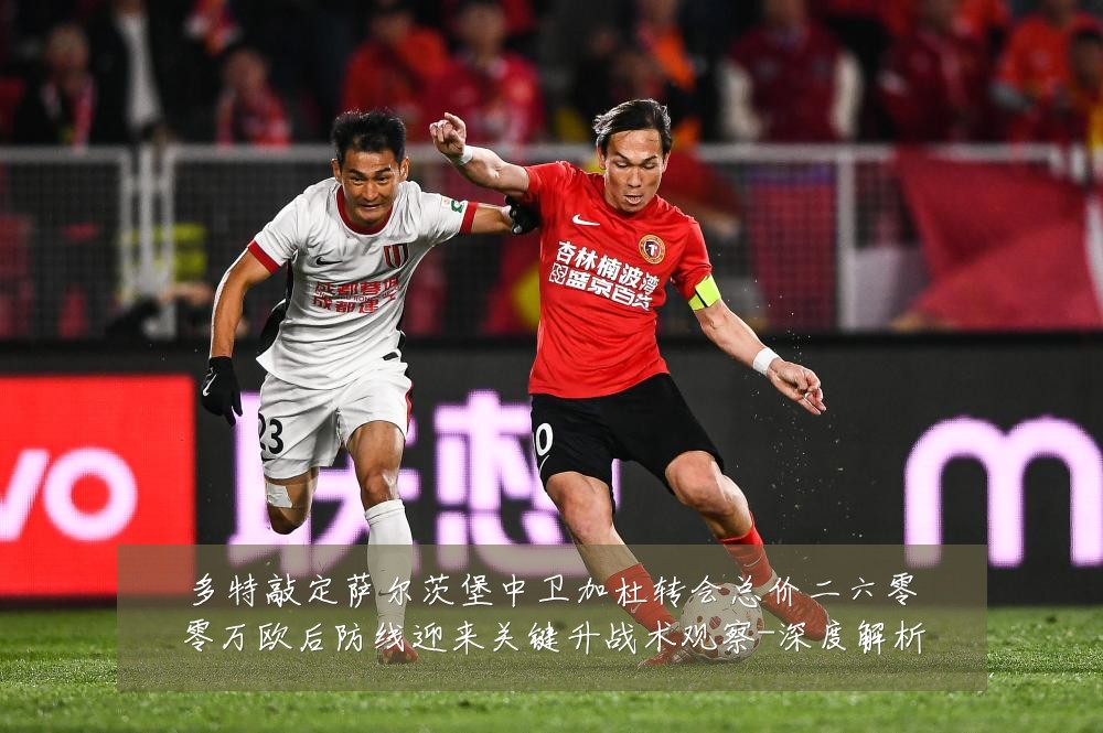 多特敲定萨尔茨堡中卫加杜转会总价二六零零万欧后防线迎来关键升战术观察-深度解析